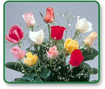 mixedroses_lg.jpg (42491 bytes)